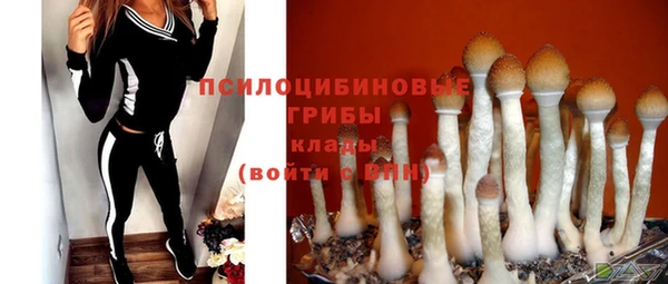 шишки Инсар