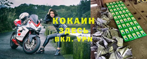 мдпв Каменка