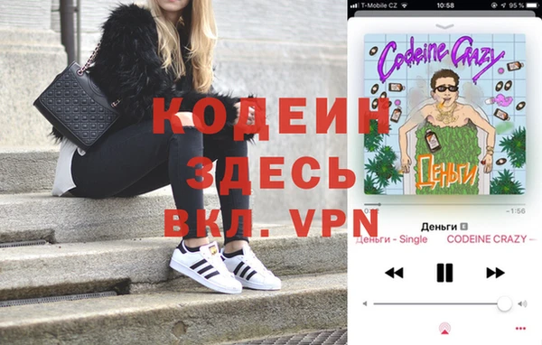 мдпв Каменка