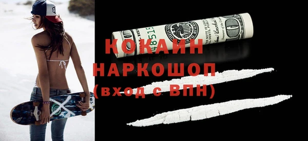 мдпв Каменка