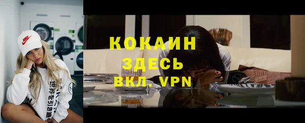 шишки Инсар