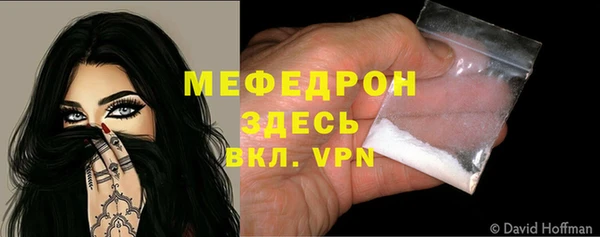 мдпв Каменка