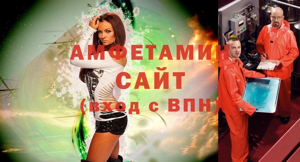 мдпв Каменка