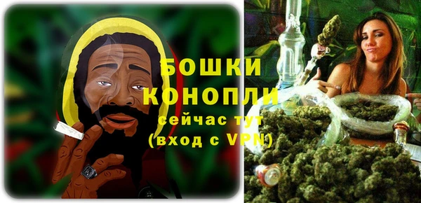 мдпв Каменка