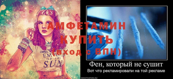 шишки Инсар
