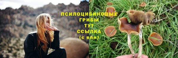 ешки Каменск-Шахтинский