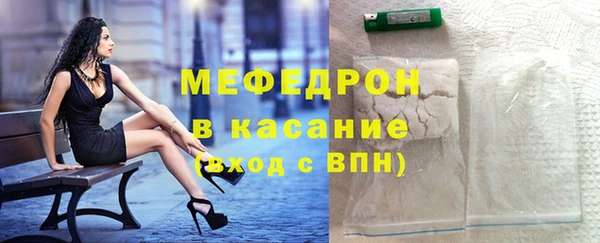 мдпв Каменка