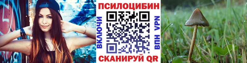 Купить закладки  Апрелевка  Галлюциногенные грибы GOLDEN TEACHER 